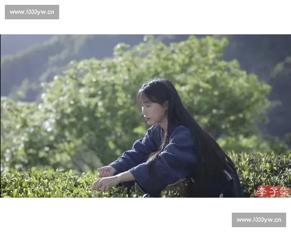 李子柒用中国味道讲述乡村生活的诗意与世界文化传播故事